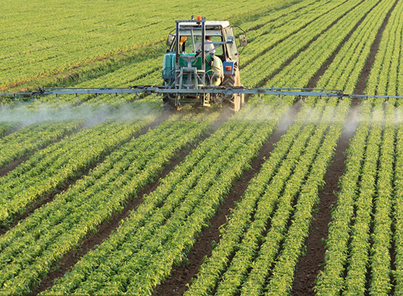 Application successfully