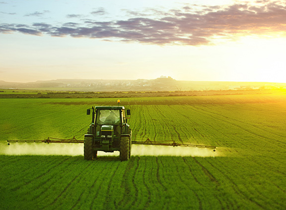 Application successfully