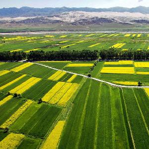 Agricultural Land Level